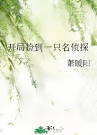 综漫同人小说星掠者